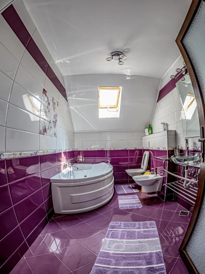 Pojorîta Casa Iuliaヴィラ エクステリア 写真