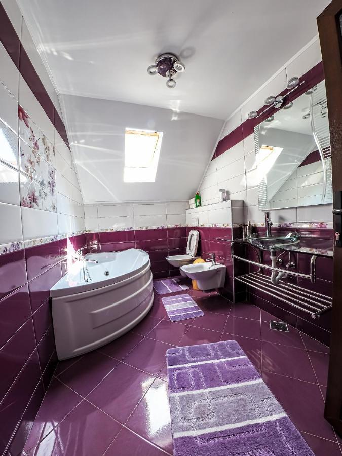 Pojorîta Casa Iuliaヴィラ エクステリア 写真