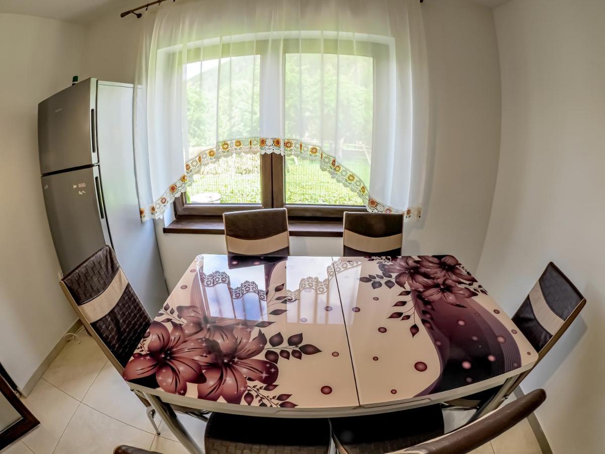 Pojorîta Casa Iuliaヴィラ エクステリア 写真
